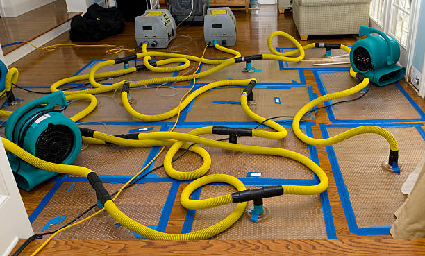 Professional Storm Water Damage Restoration technician working in Underwood, IA